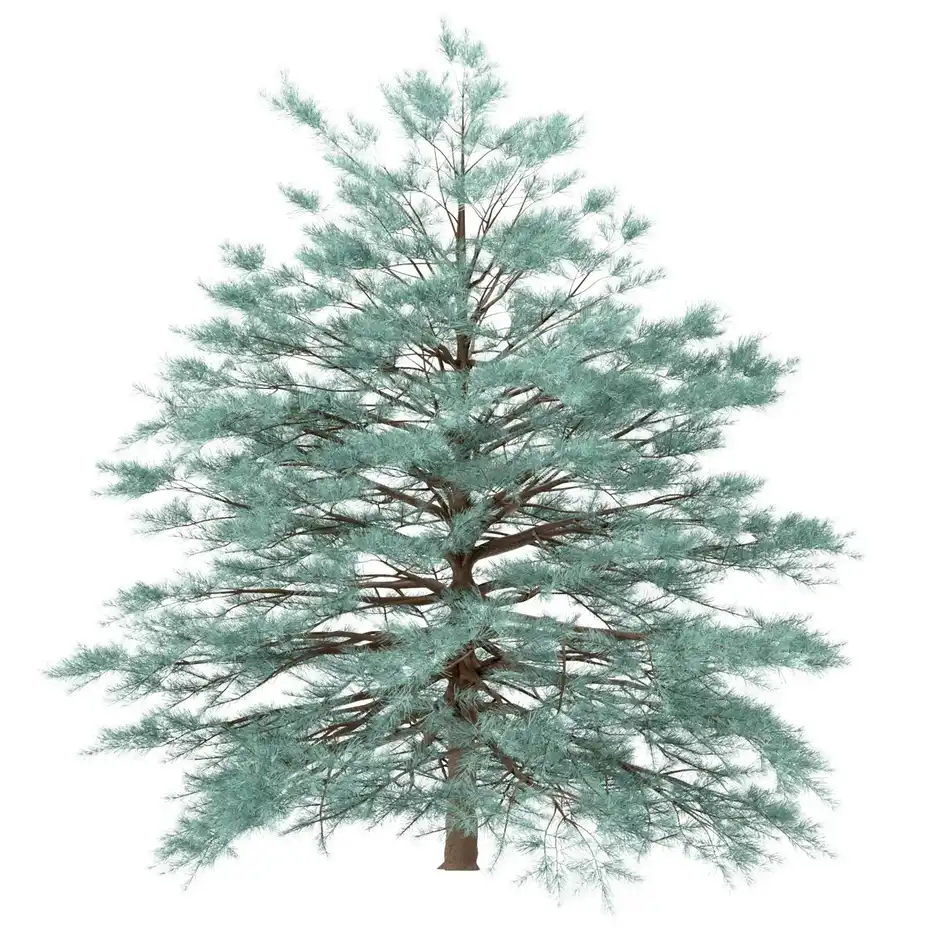 آبجکت درخت کاج - 1