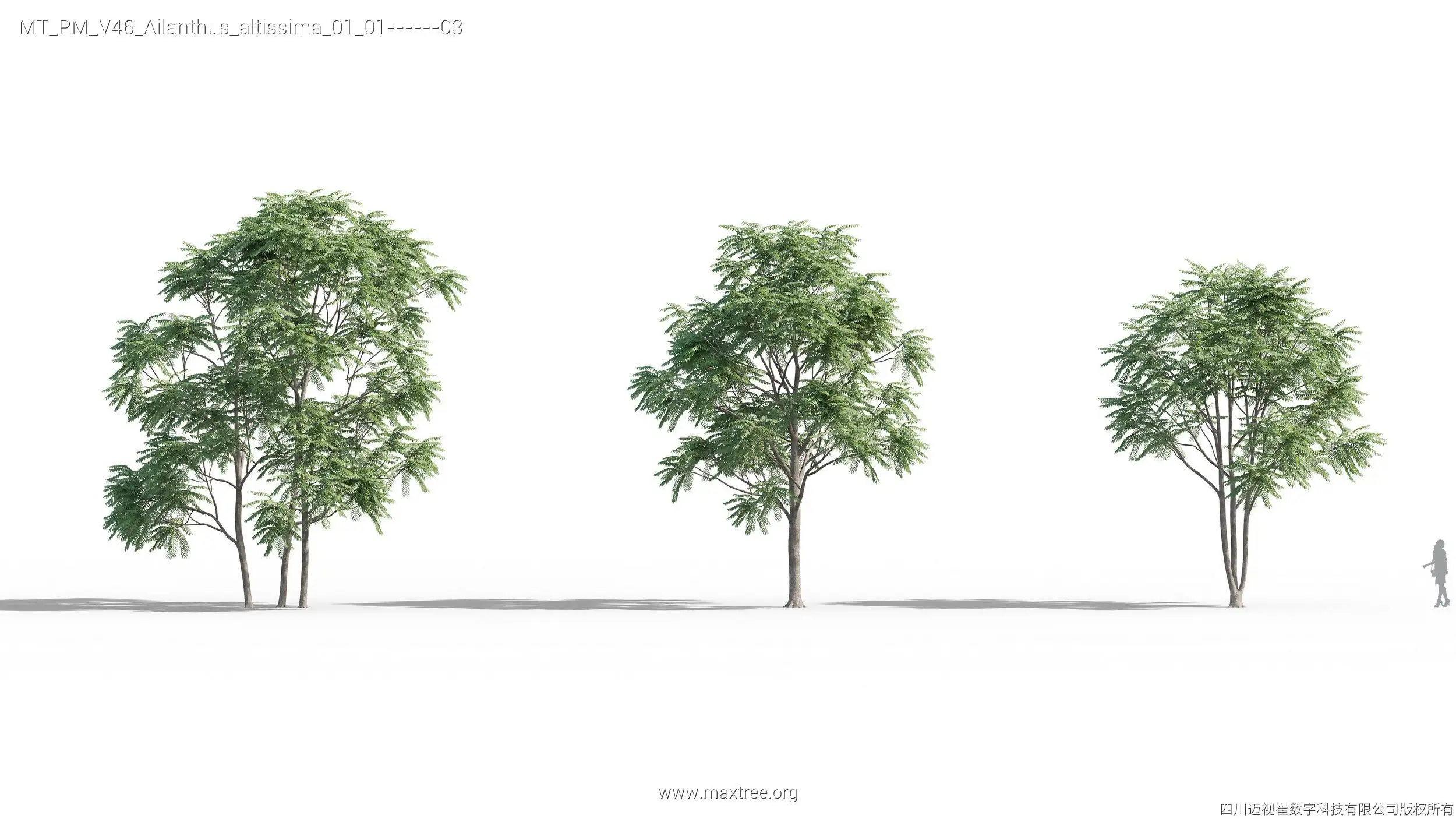 آبجکت درخت – کالکشن 46 - 2