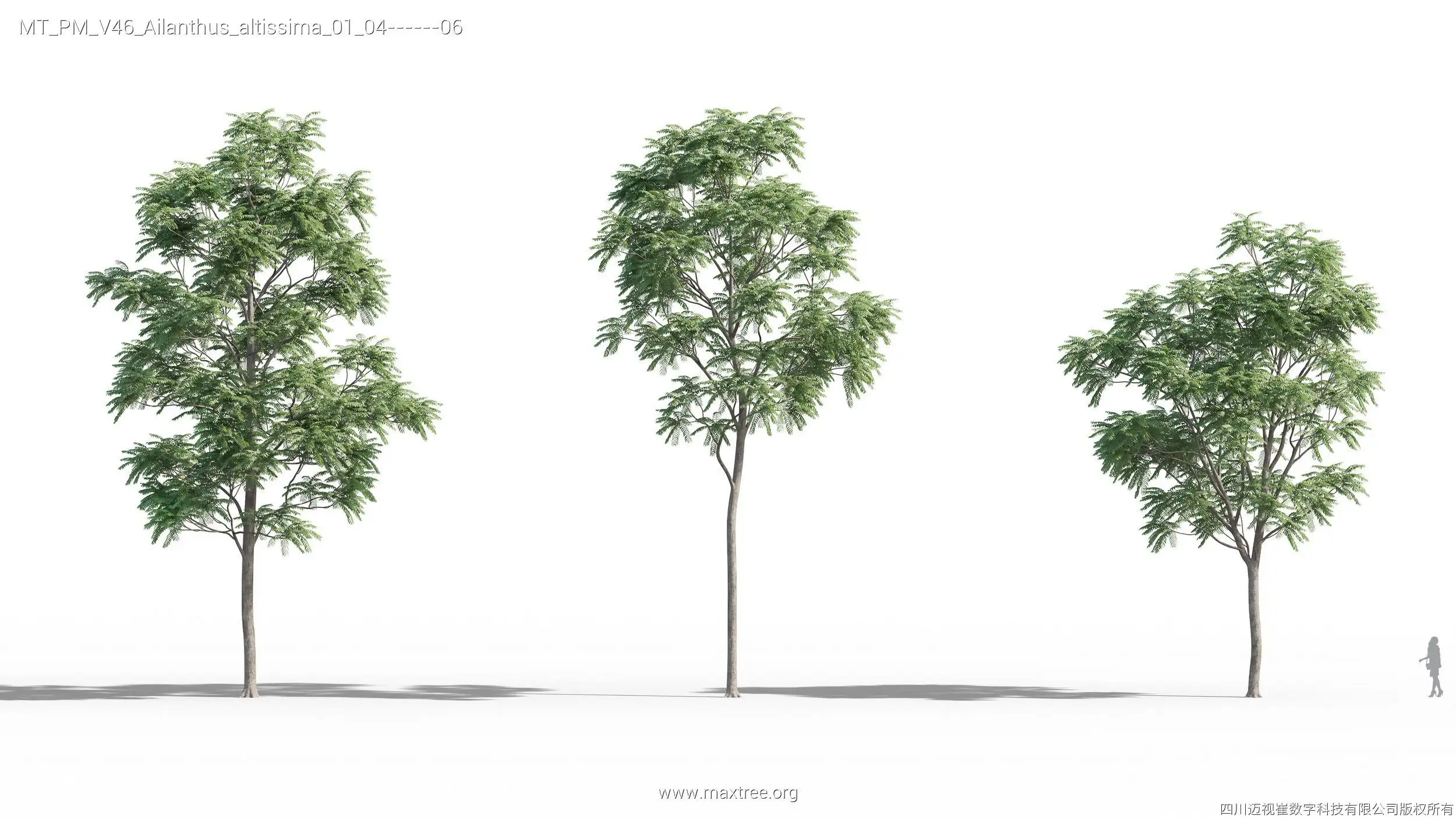آبجکت درخت – کالکشن 46 - 4