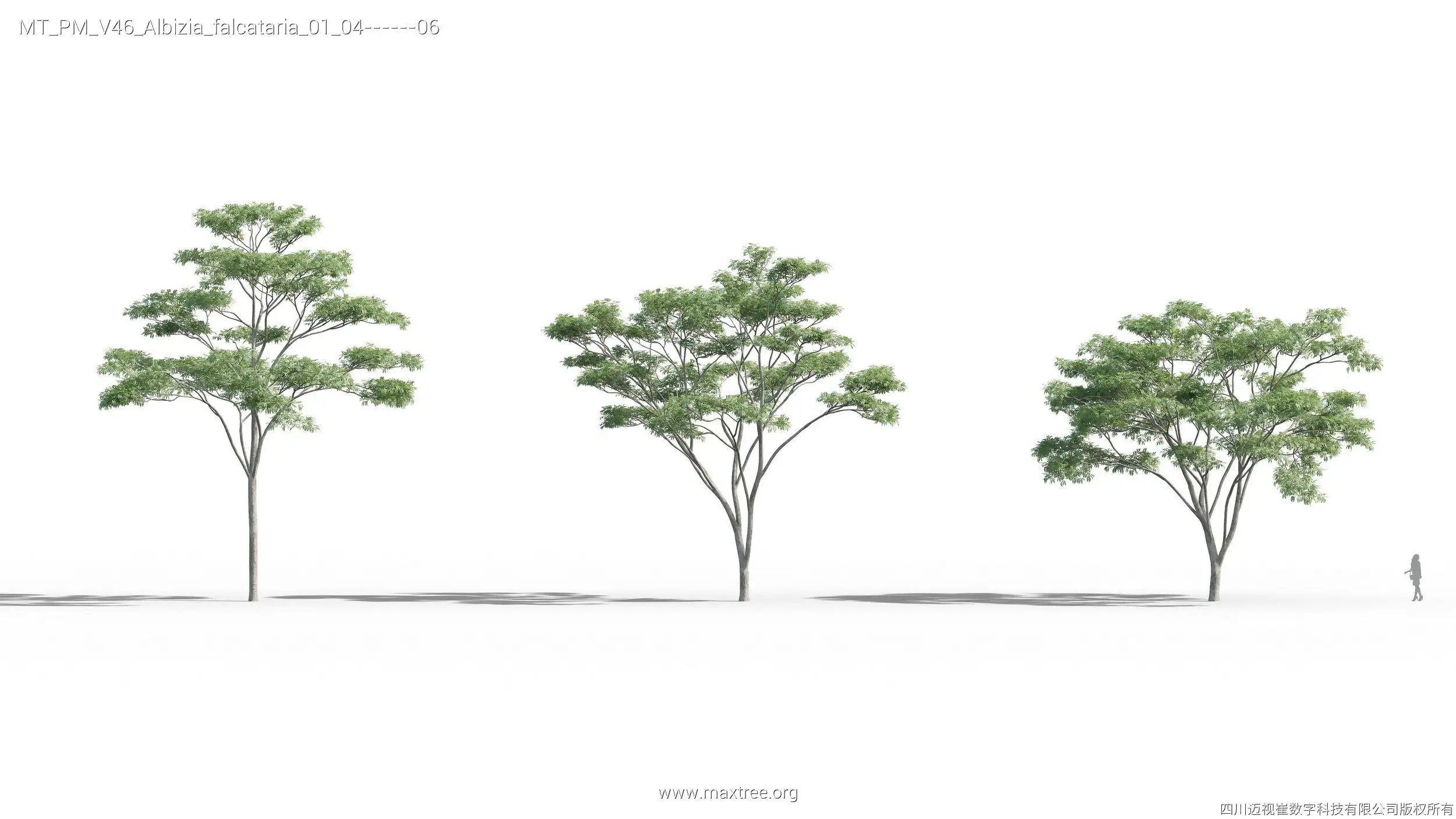 آبجکت درخت – کالکشن 46 - 8