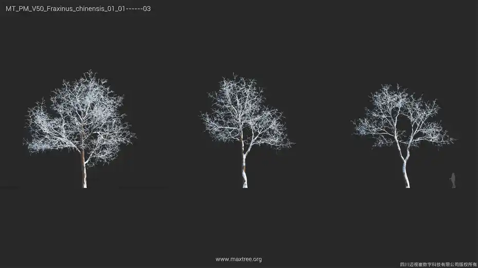 مدل سه بعدی درخت زمستانی - 13