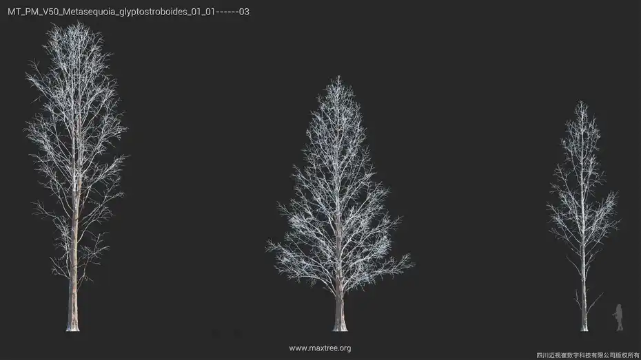 مدل سه بعدی درخت زمستانی - 17