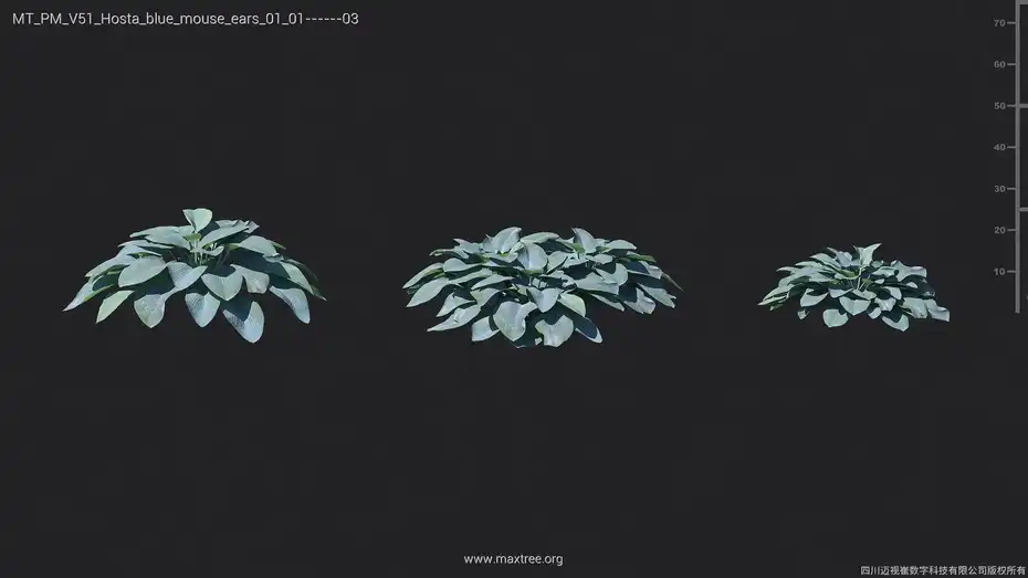 دانلود آبجکت گل و گیاه – کالکشن 51 - 17