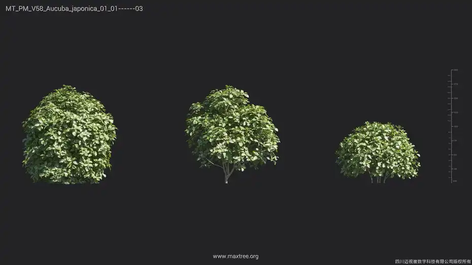 دانلود مدل سه بعدی گل و گیاه – کالکشن 58 - 1