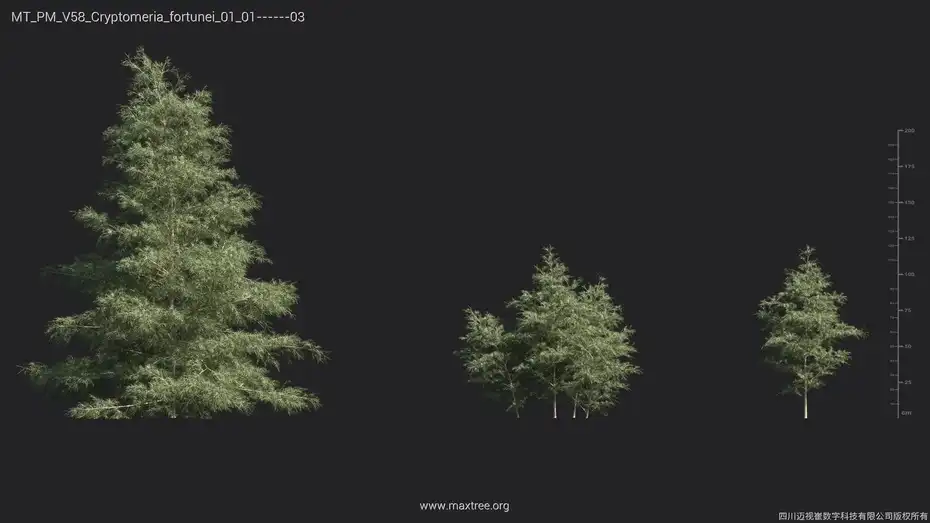 دانلود مدل سه بعدی گل و گیاه – کالکشن 58 - 7