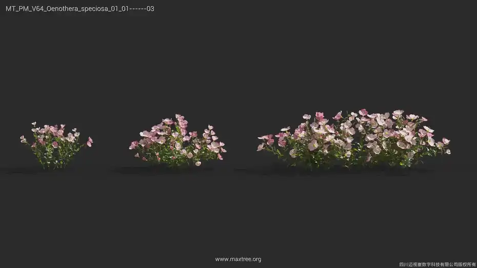 مدل سه بعدی بوته گل - 15