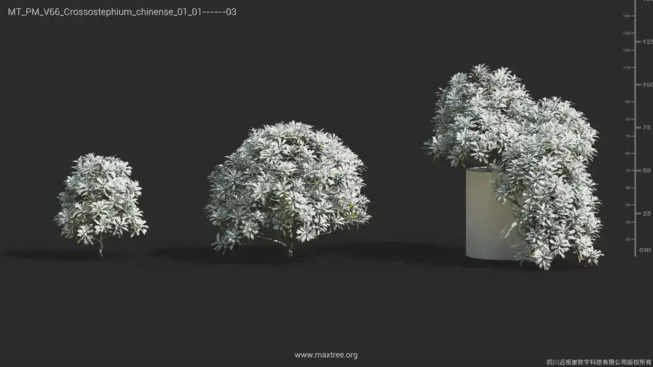 دانلود مدل سه بعدی گل و گیاه – کالکشن 66 - 7