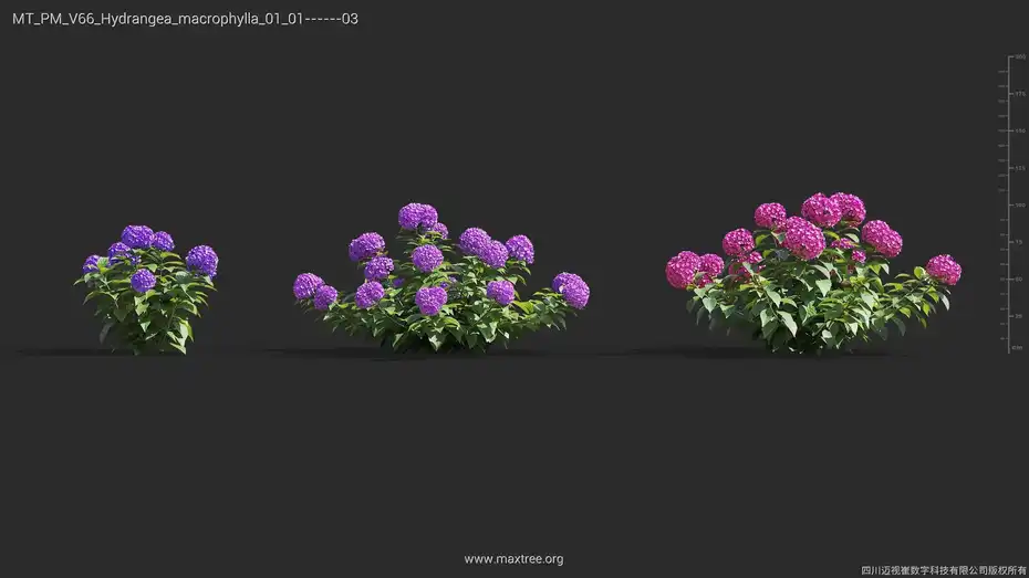 دانلود مدل سه بعدی گل و گیاه – کالکشن 66 - 9