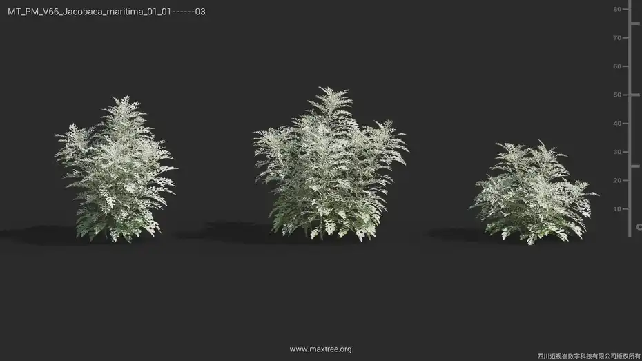 دانلود مدل سه بعدی گل و گیاه – کالکشن 66 - 11