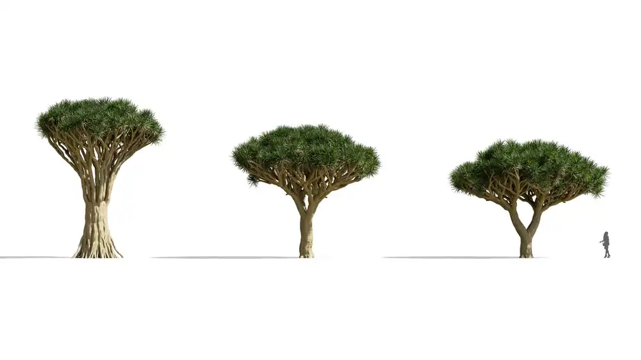 دانلود آبجکت گیاهان گرمسیری - 17
