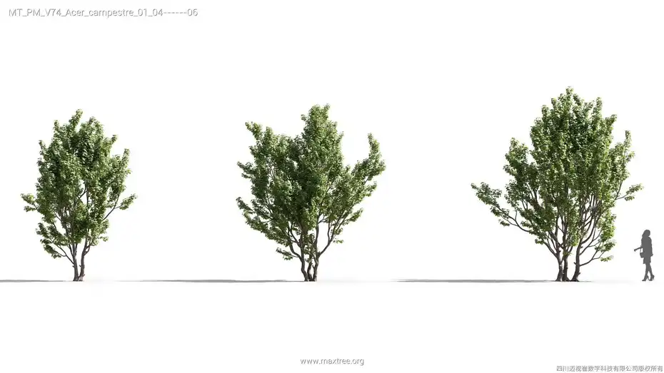 دانلود مدل سه بعدی درخت – کالکشن 74 - 7