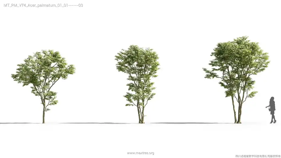 دانلود مدل سه بعدی درخت – کالکشن 74 - 13