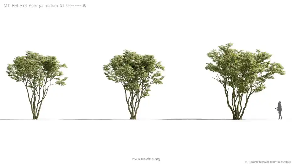 دانلود مدل سه بعدی درخت – کالکشن 74 - 15