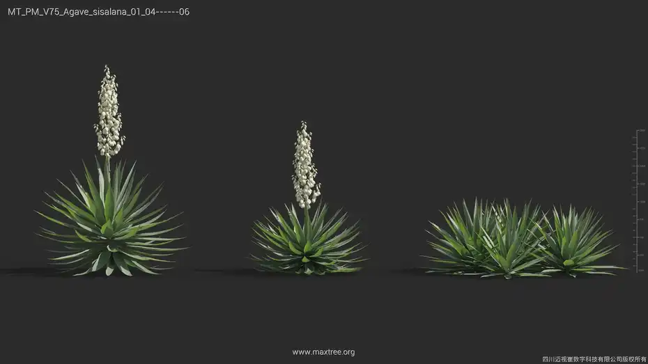 آبجکت گل و گیاه از Maxtree – کالکشن 75 - 3