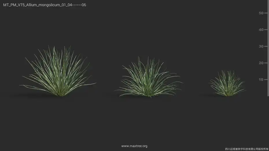 آبجکت گل و گیاه از Maxtree – کالکشن 75 - 5
