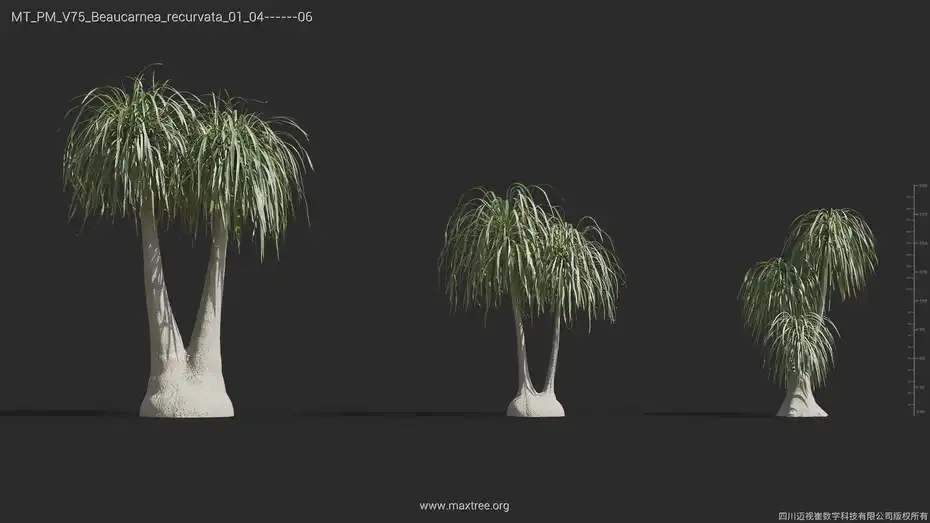 آبجکت گل و گیاه از Maxtree – کالکشن 75 - 7