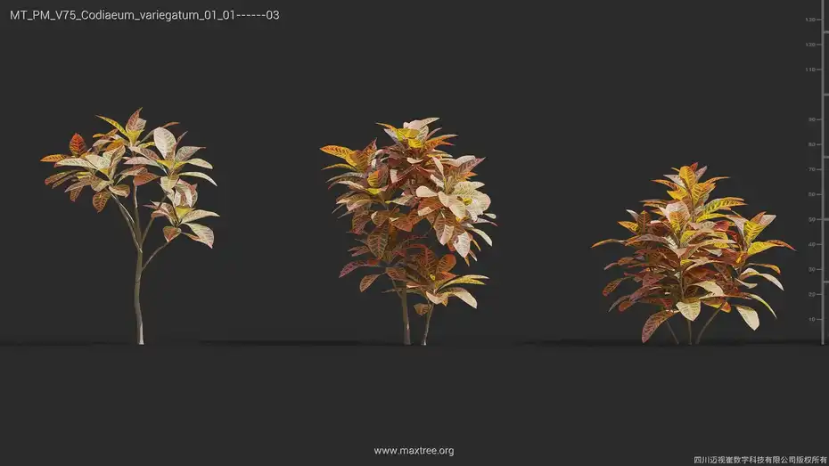 آبجکت گل و گیاه از Maxtree – کالکشن 75 - 9