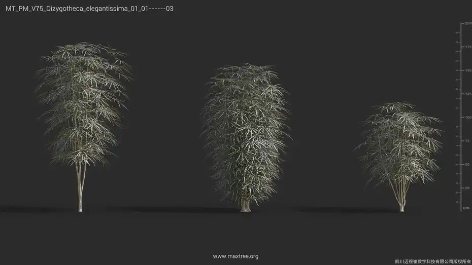 آبجکت گل و گیاه از Maxtree – کالکشن 75 - 15