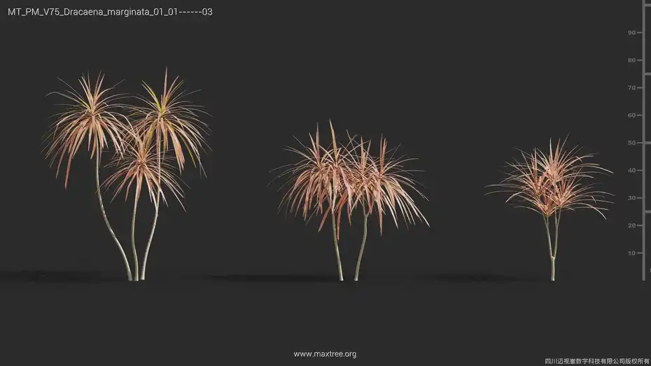 آبجکت گل و گیاه از Maxtree – کالکشن 75 - 17