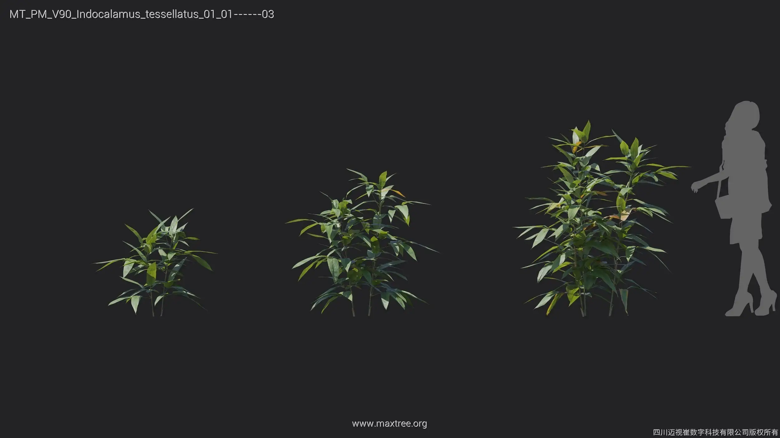 آبجکت گل و گیاه از Maxtree – کالکشن 90 - 14