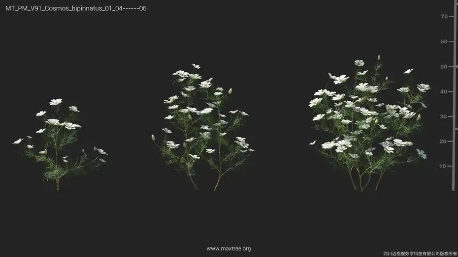 دانلود 72 آبجکت بوته گل – کالکشن 91 - 14 دانلود 72 آبجکت بوته گل - 13