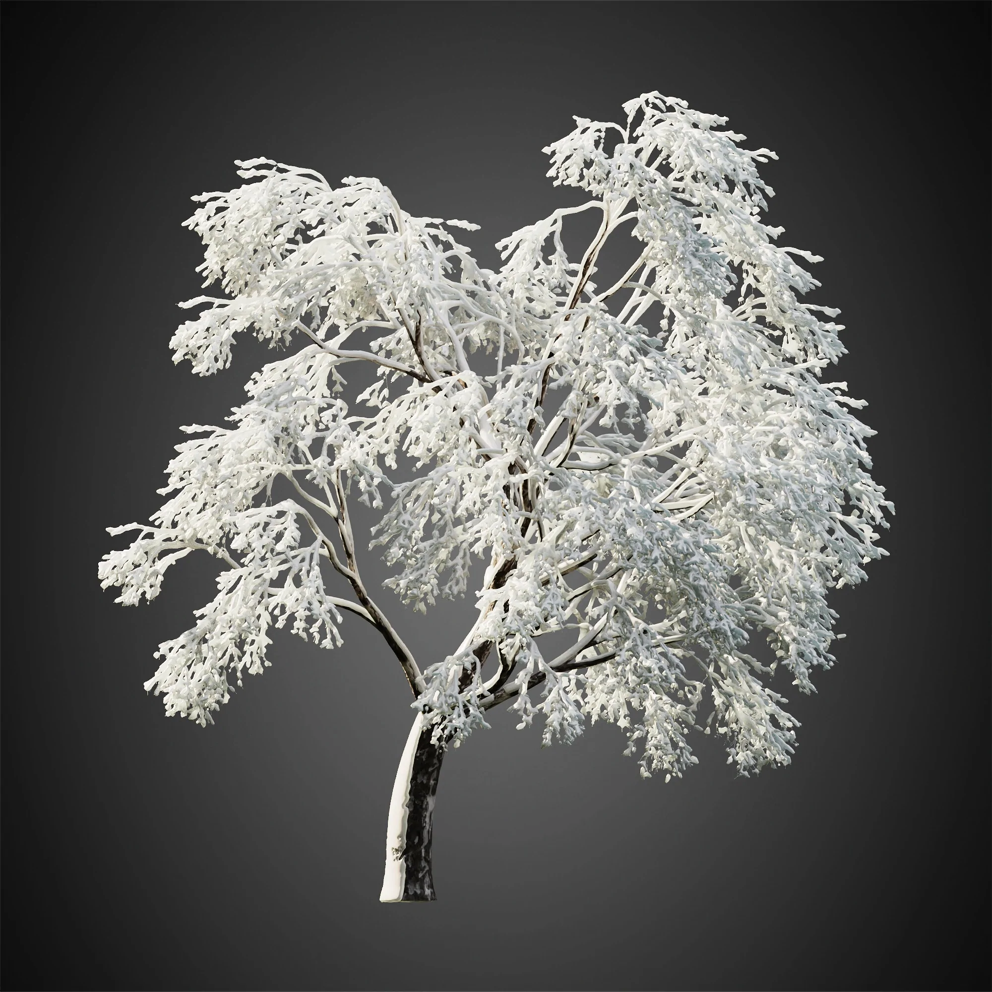 دانلود مدل سه بعدی درخت زمستانی - 2