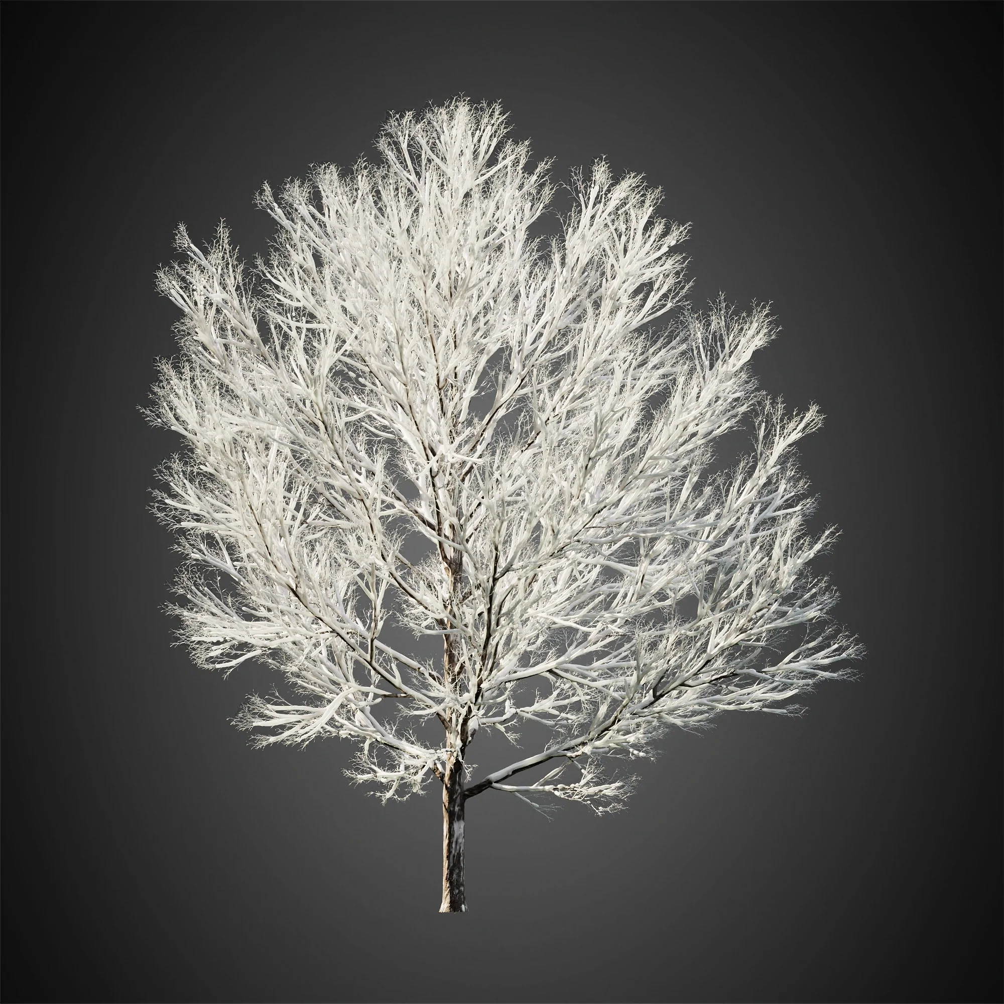 دانلود مدل سه بعدی درخت زمستانی - 8