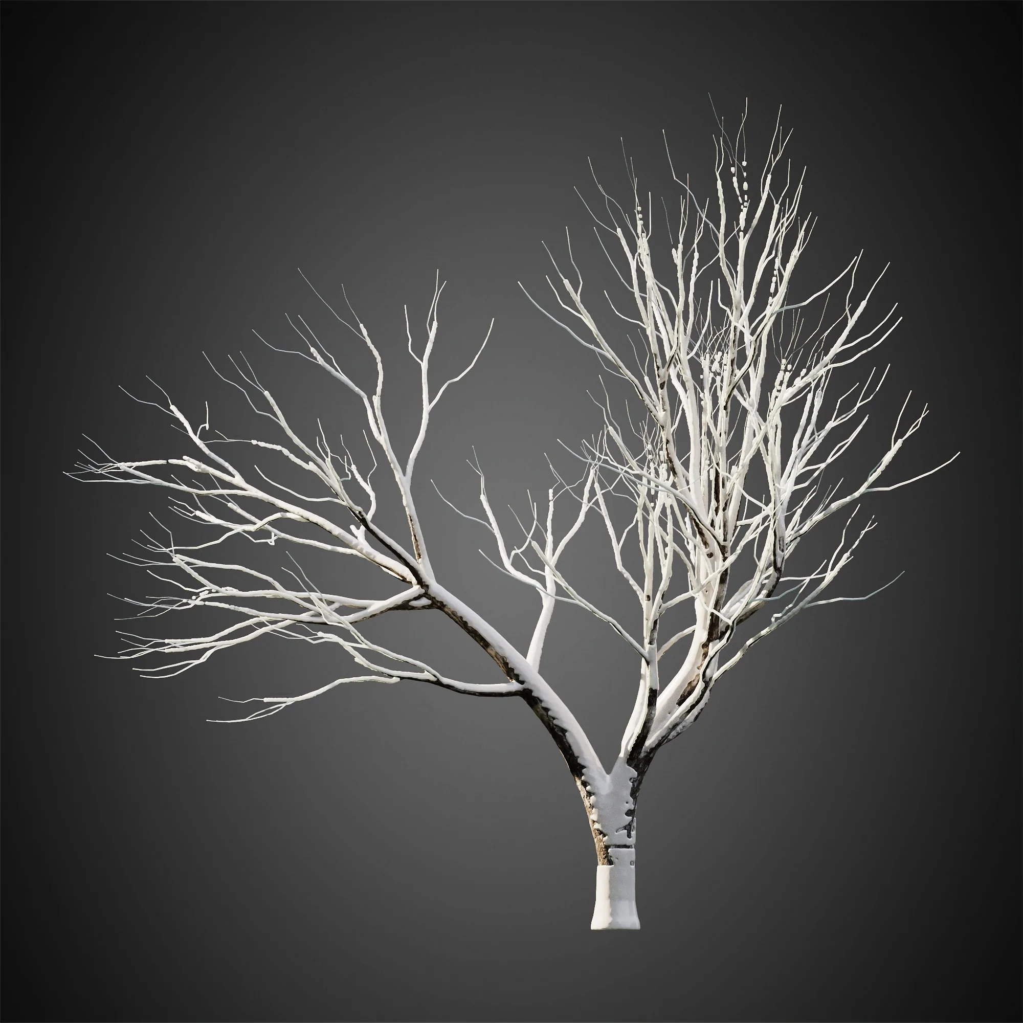 دانلود مدل سه بعدی درخت زمستانی - 10