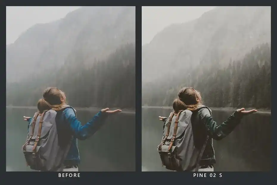 پریست رنگ Cedar Lightroom Presets and LUTs - 3