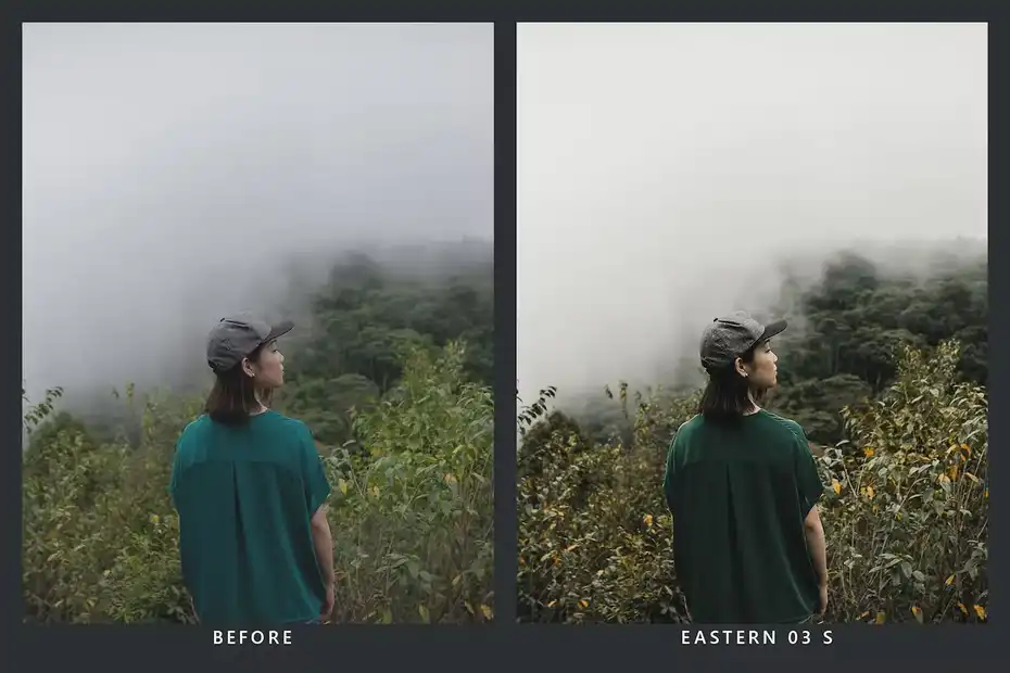 پریست رنگ Cedar Lightroom Presets and LUTs - 5