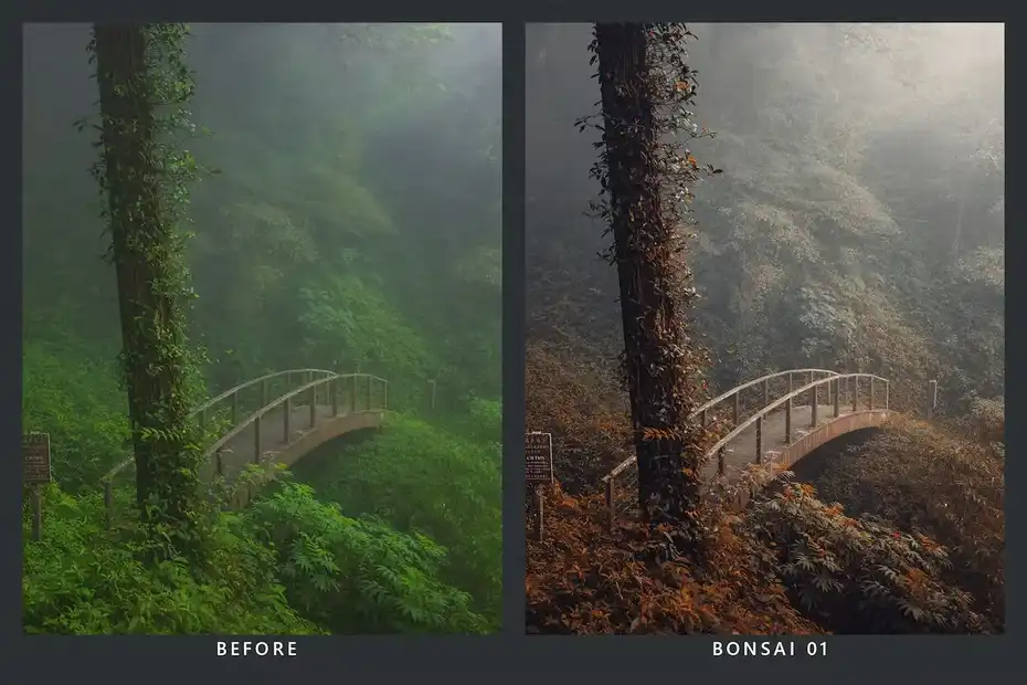 پریست رنگ Cedar Lightroom Presets and LUTs - 9