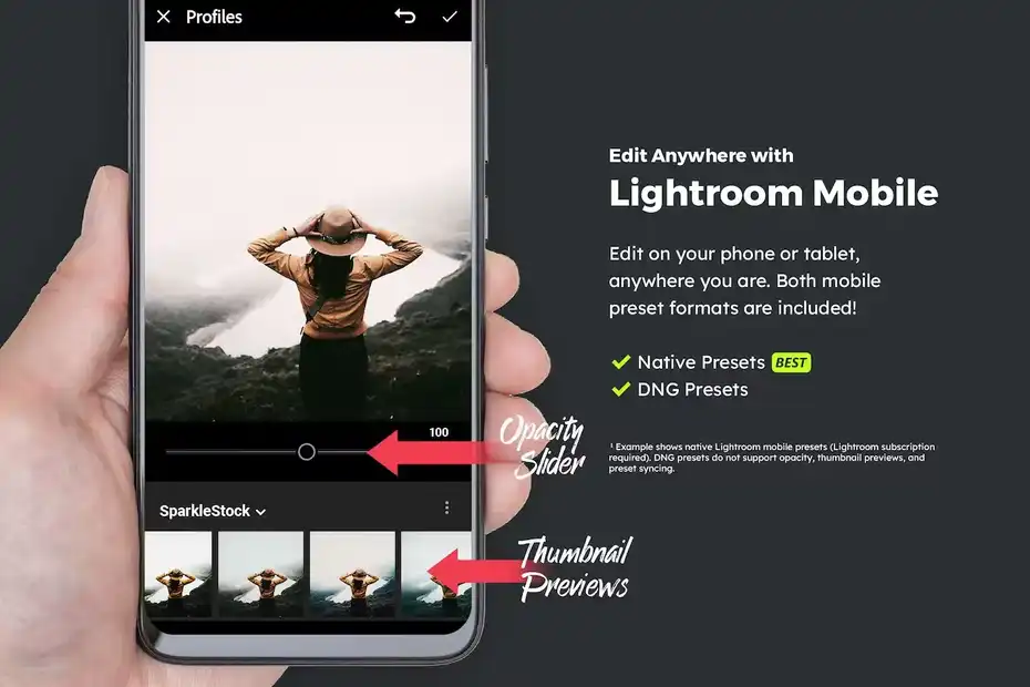 پریست رنگ Cedar Lightroom Presets and LUTs - 13