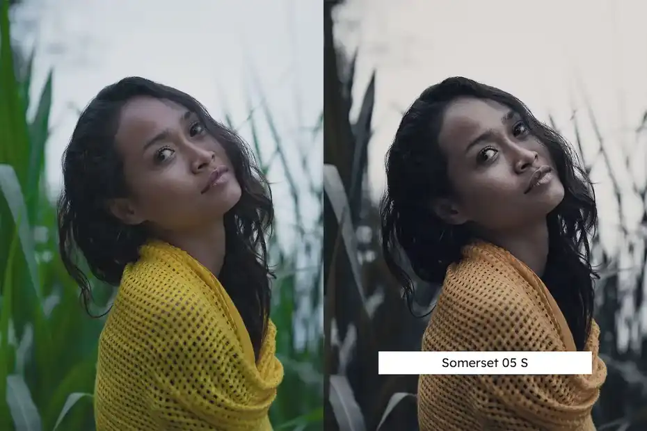 دانلود پریست رنگ Cocoa Lightroom Presets & LUTs - 10 پریست رنگ Cocoa - 9