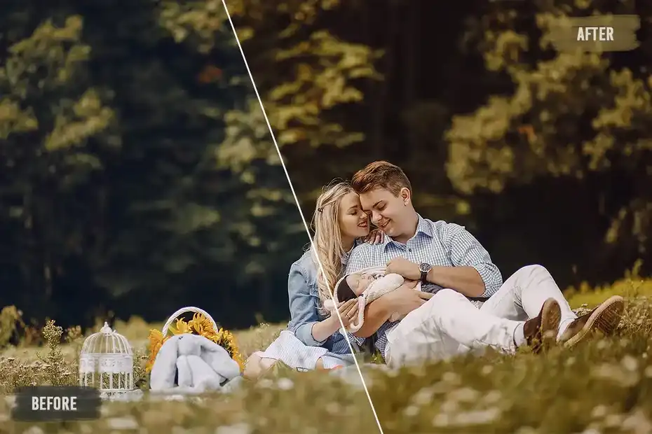 پریست اصلاح رنگ Family LUTs Pack - 7