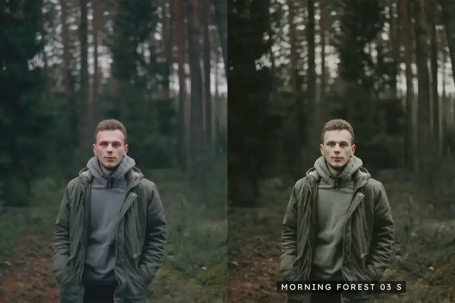پریست رنگ Moody Woods - 1