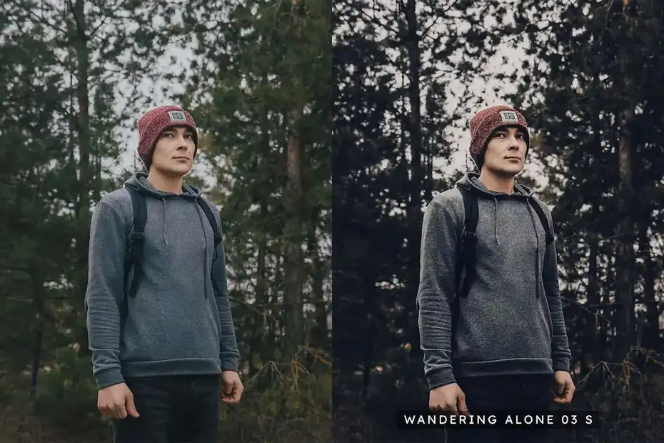 پریست رنگ Moody Woods - 7