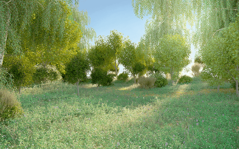 صحنه آماده جنگل برای سینمافوردی - 1