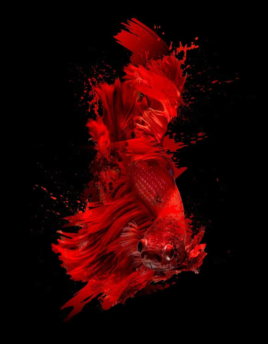 براش پاشیدن رنگ Stroke Splatter Photoshop Brushes Collection - 3