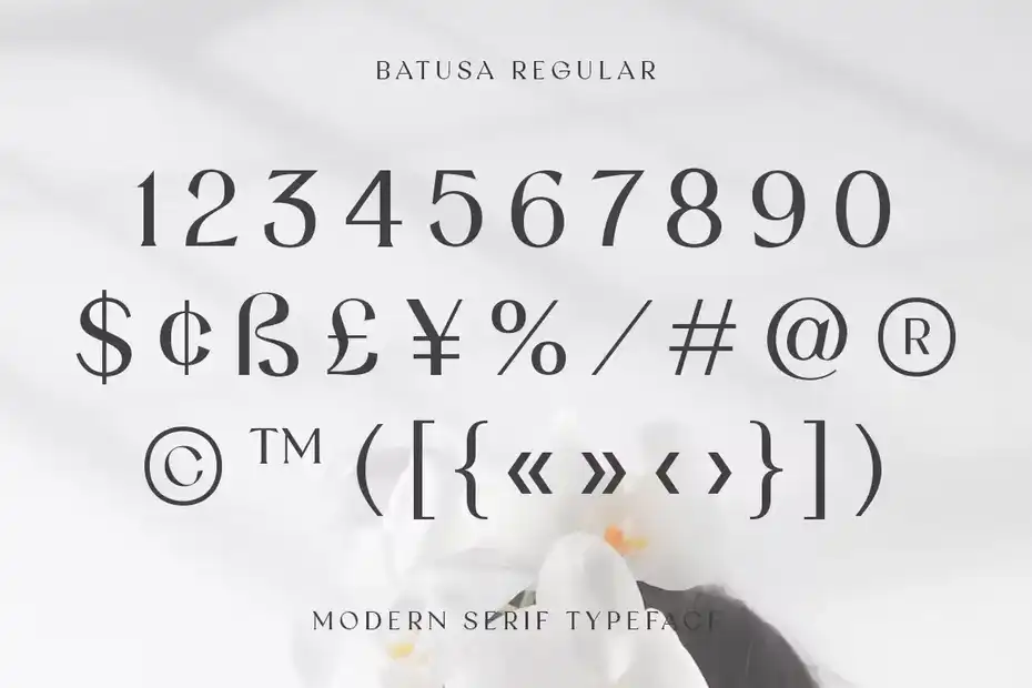 فونت انگلیسی Batusa Modern Serif Fonts - 5