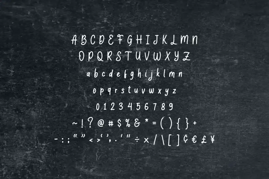 فونت انگلیسی Beast Burger - Handwritten Sans Serif - 5
