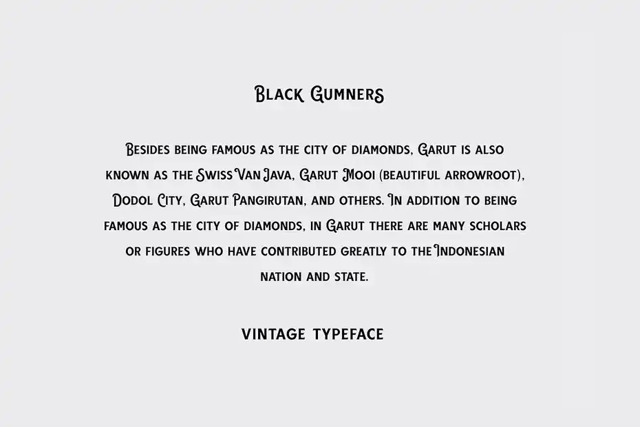 فونت انگلیسی Black Gumners Vintage Fonts - 15