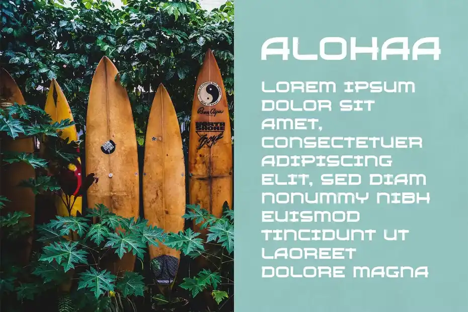 فونت انگلیسی Boomerang - Hawaiian Typeface - 7
