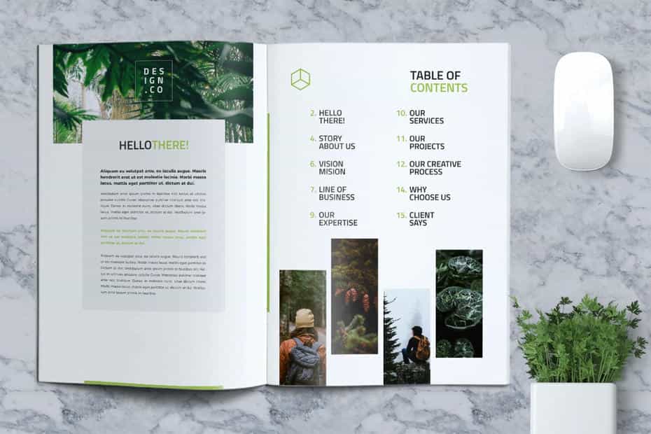 قالب ایندیزاین بروشور Business Brochure Template Vol. 01