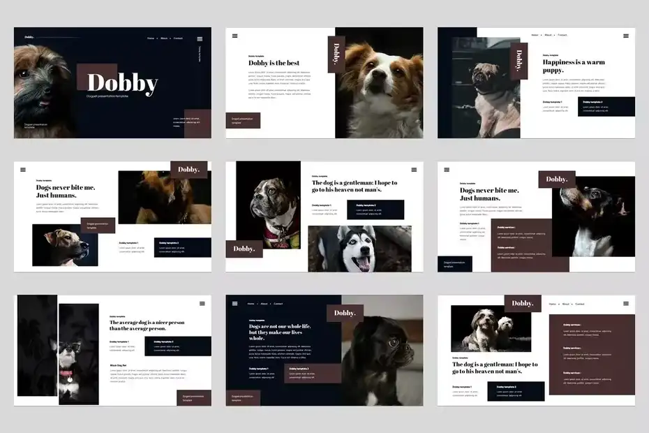قالب پاورپوینت پت شاپ Dobby - 9