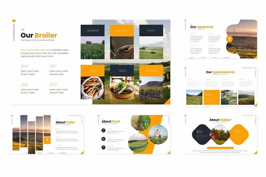 دانلود قالب پاورپوینت مزرعه Farm Stations - Powerpoint Template - 1 قالب پاورپوینت مزرعه