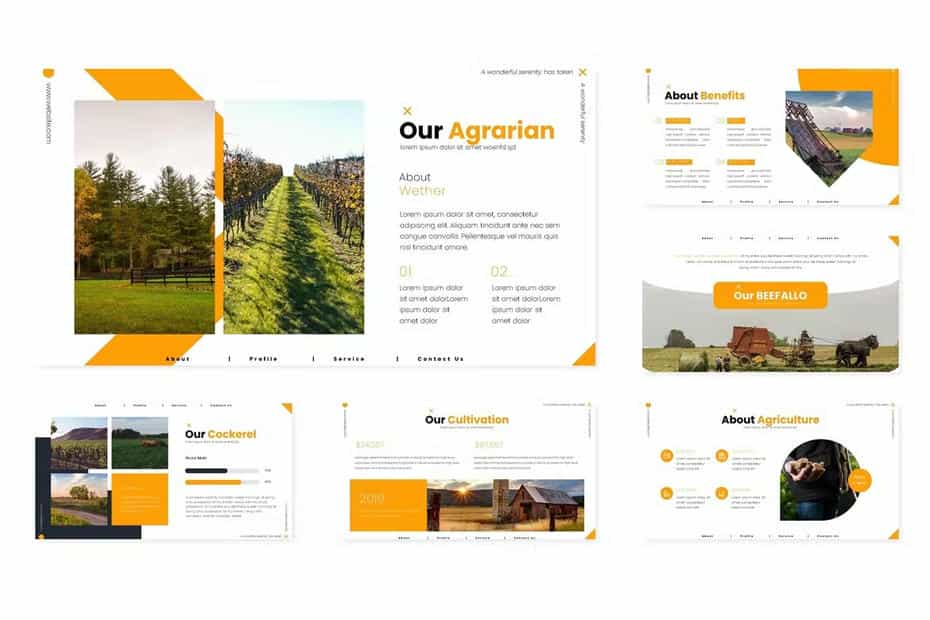 دانلود قالب پاورپوینت مزرعه Farm Stations - Powerpoint Template - 7 قالب پاورپوینت مزرعه - 6
