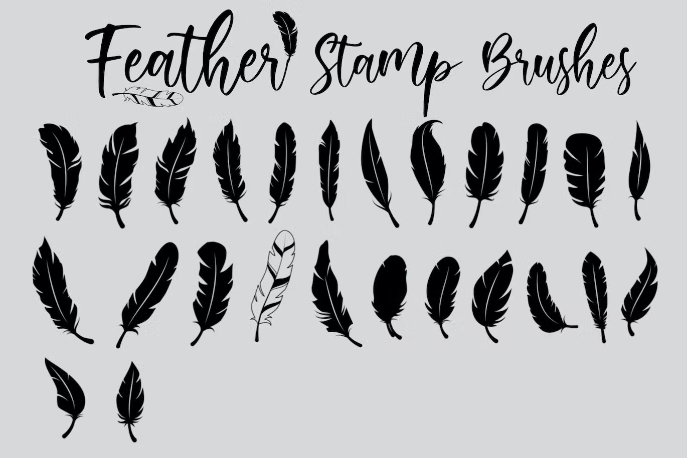براش برگ درخت فتوشاپ Feather | Stamp Brush - 4
