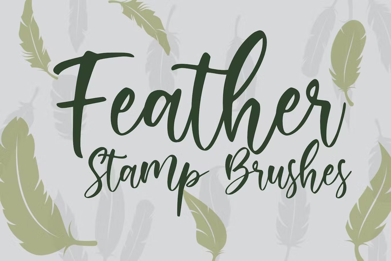براش برگ درخت فتوشاپ Feather | Stamp Brush - 6