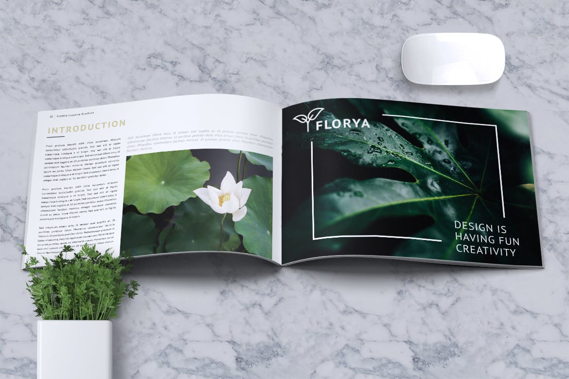 قالب ایندیزاین بروشور تجاری FLORYA - Business Brochure