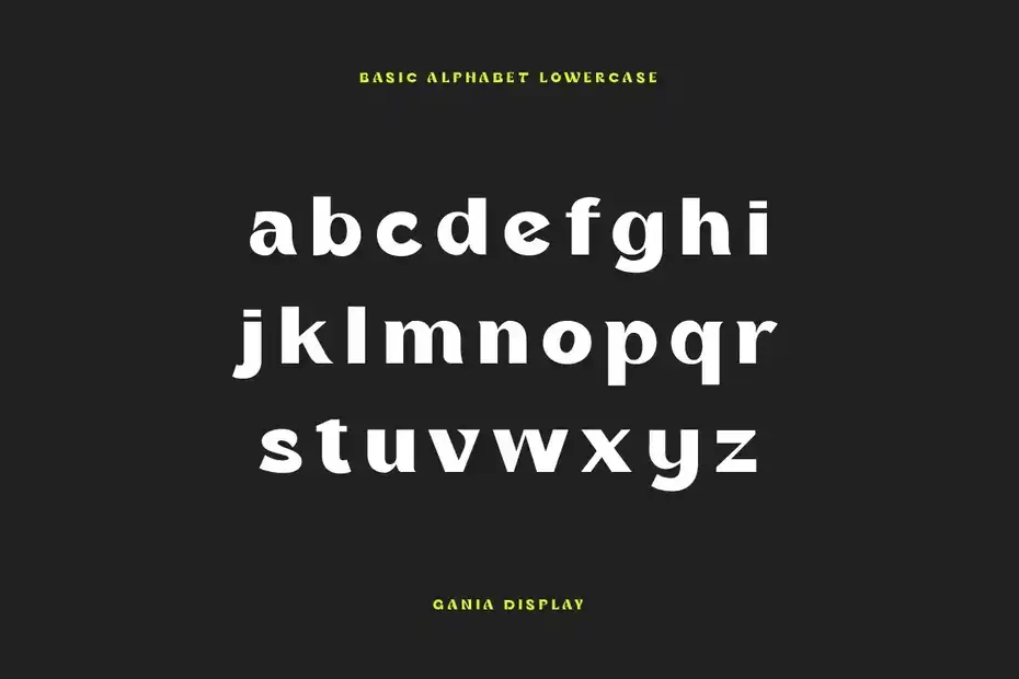 فونت انگلیسی Gania Display Typeface - 3